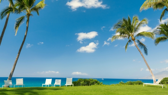 K1体育公司：器材室篮球训练