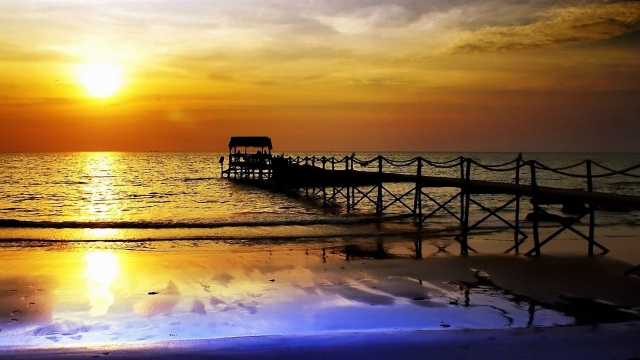 K1体育用品有限公司少儿篮球训练营训练器材